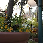 Blumentag فندق