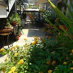 Blumentag 3*