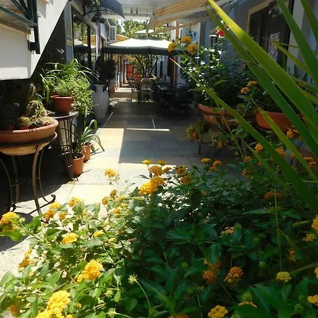 Blumentag 3*