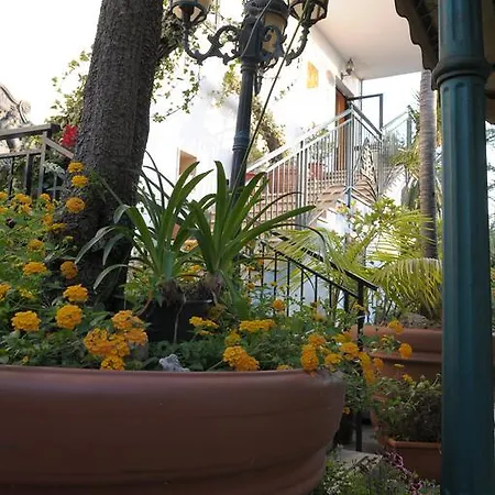 Blumentag Hotel